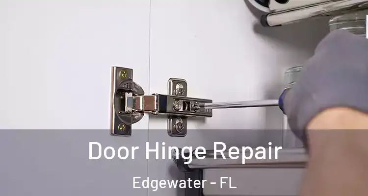 Door Hinge Repair Edgewater - FL