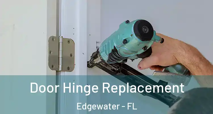 Door Hinge Replacement Edgewater - FL