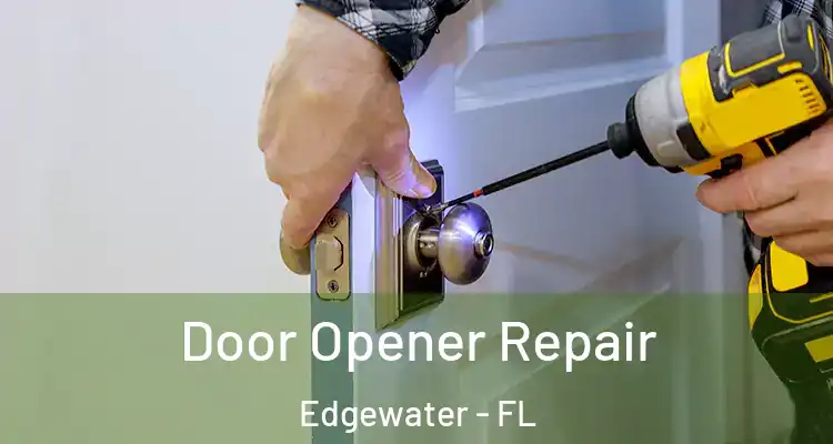 Door Opener Repair Edgewater - FL