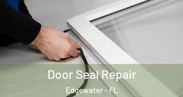 Door Seal Repair Edgewater - FL