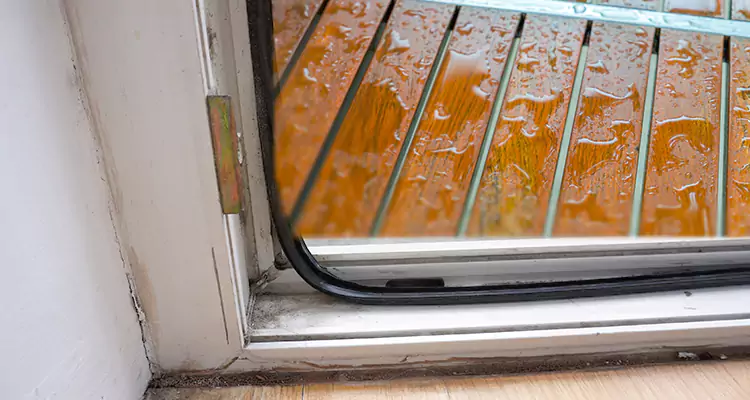 Water Leaking Wooden Patio Doors Repair in Edgewater, FL