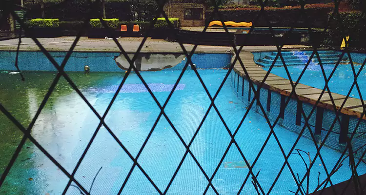 Lanai Screen Repair in Edgewater, FL