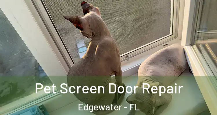 Pet Screen Door Repair Edgewater - FL