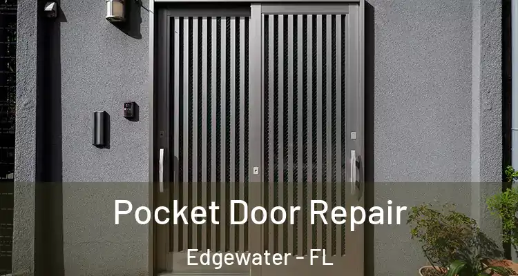 Pocket Door Repair Edgewater - FL