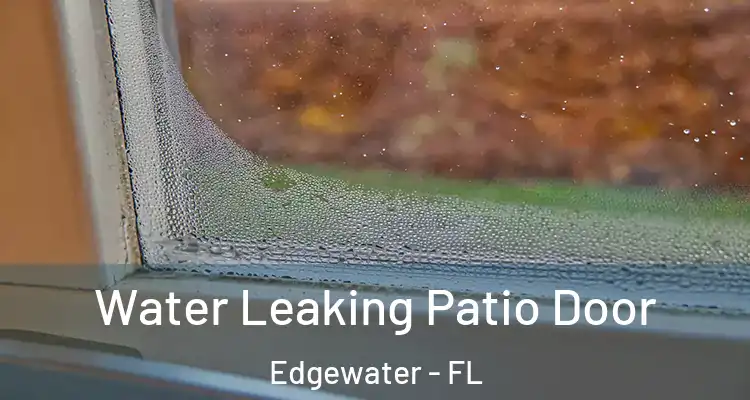 Water Leaking Patio Door Edgewater - FL